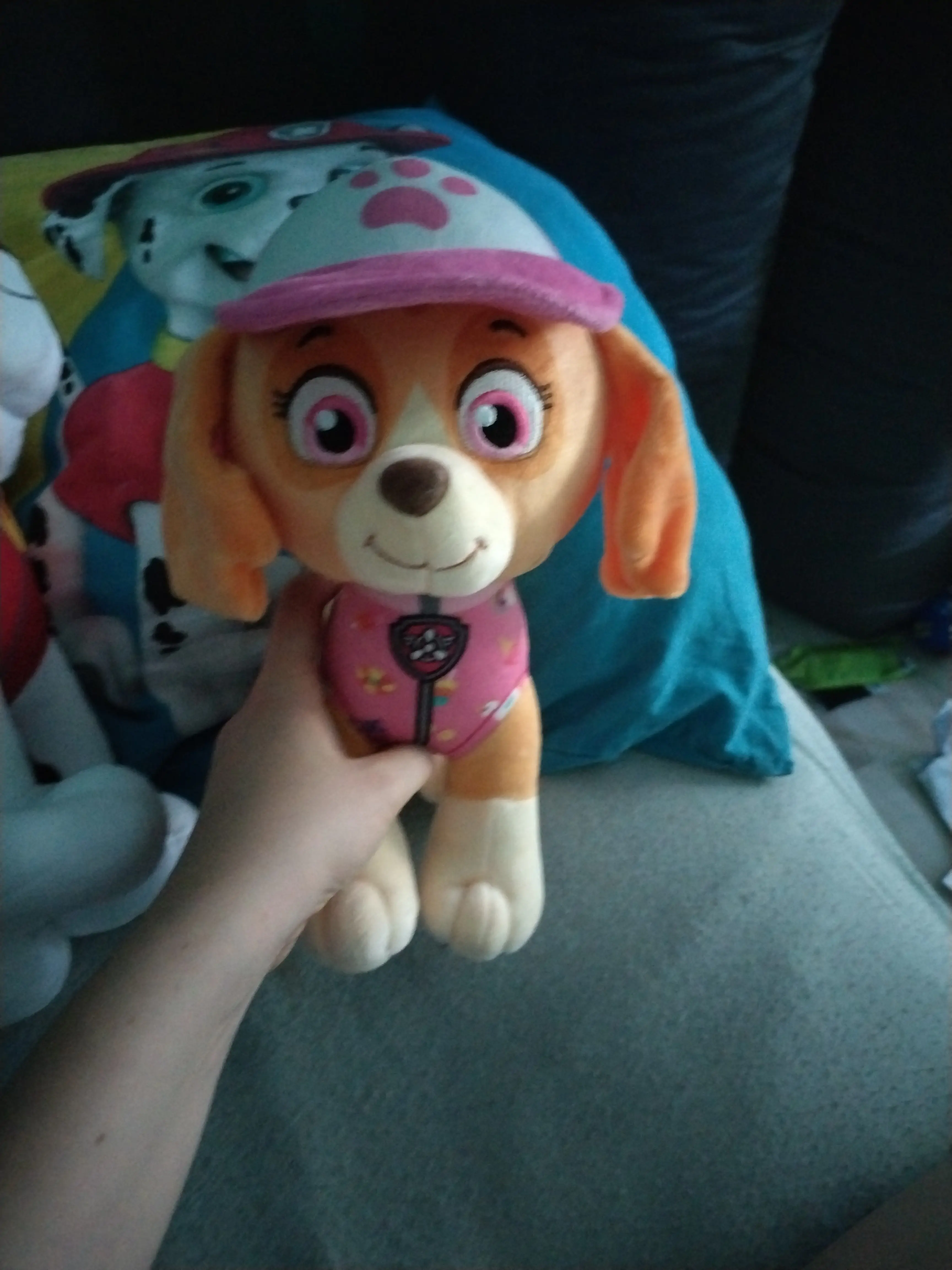 Mancs őrjárat Skye plüss 27cm termékfotó