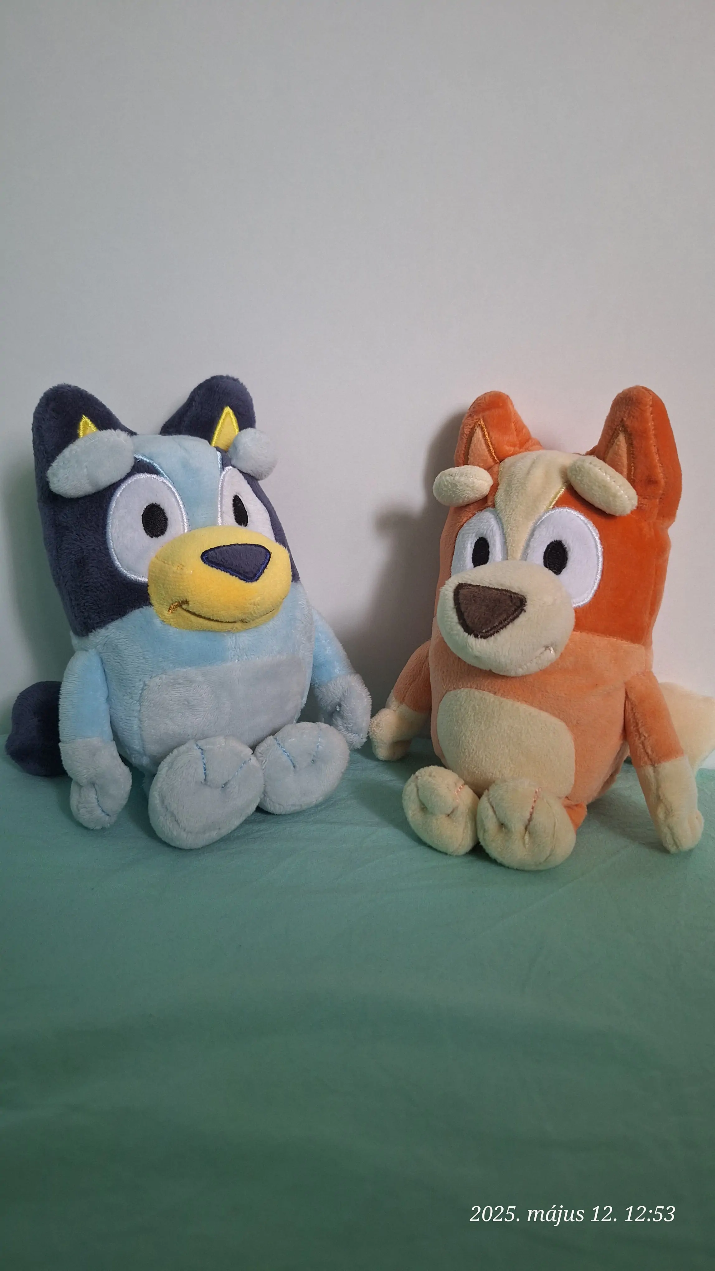 Bluey Friends Bingo plüss figura 20 cm termékfotó