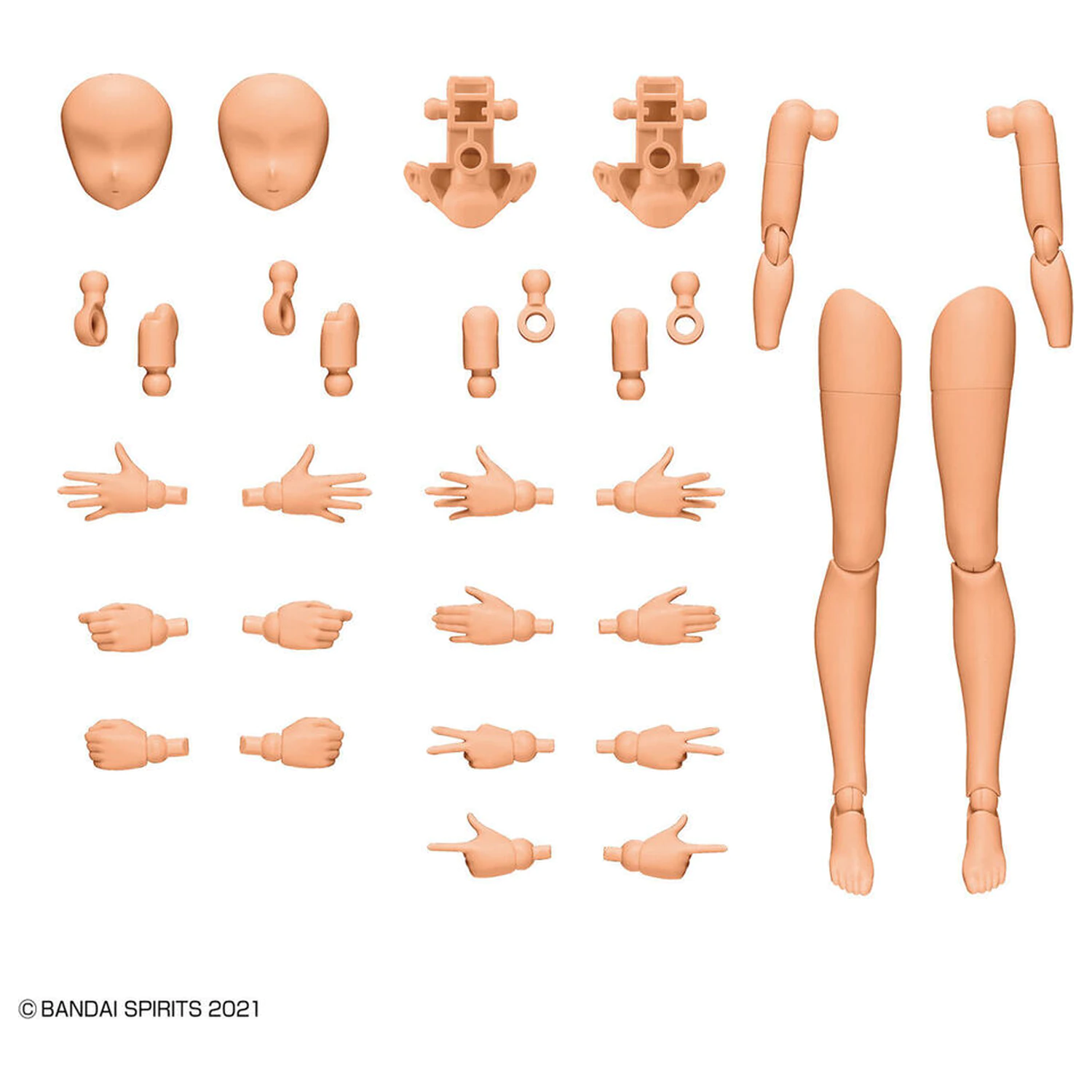 30MS Body Parts Arm & Leg Parts Set Color C figura kiegészítő csomag termékfotó