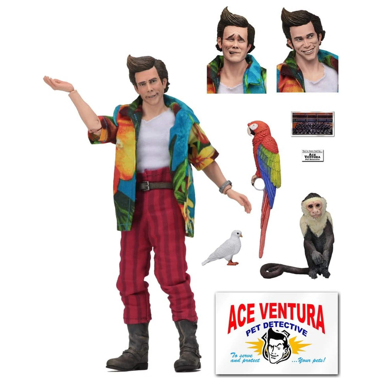 Ace Ventura Clothed akciófigura Ace Ventura 20 cm termékfotó