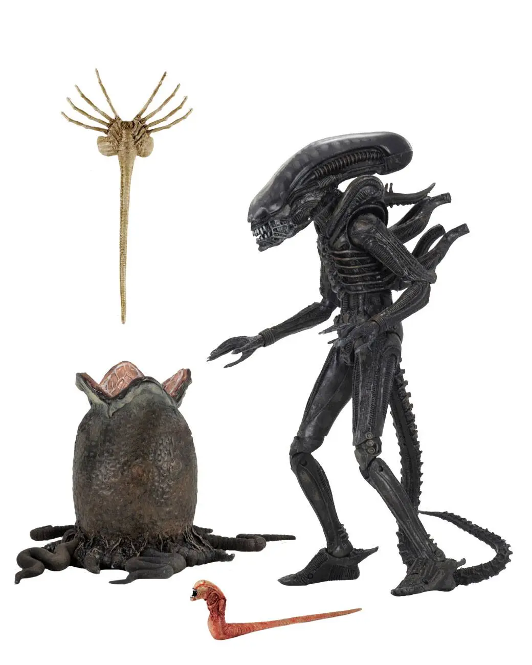 Alien 1979 Ultimate 40. évforduló. Big Chap akciófigura 23 cm termékfotó