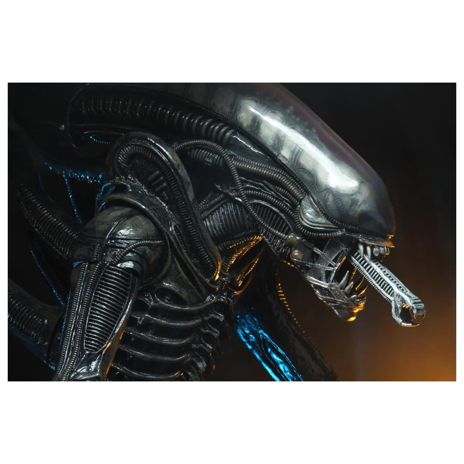 Alien Big Chap figura 1/4 55cm termékfotó
