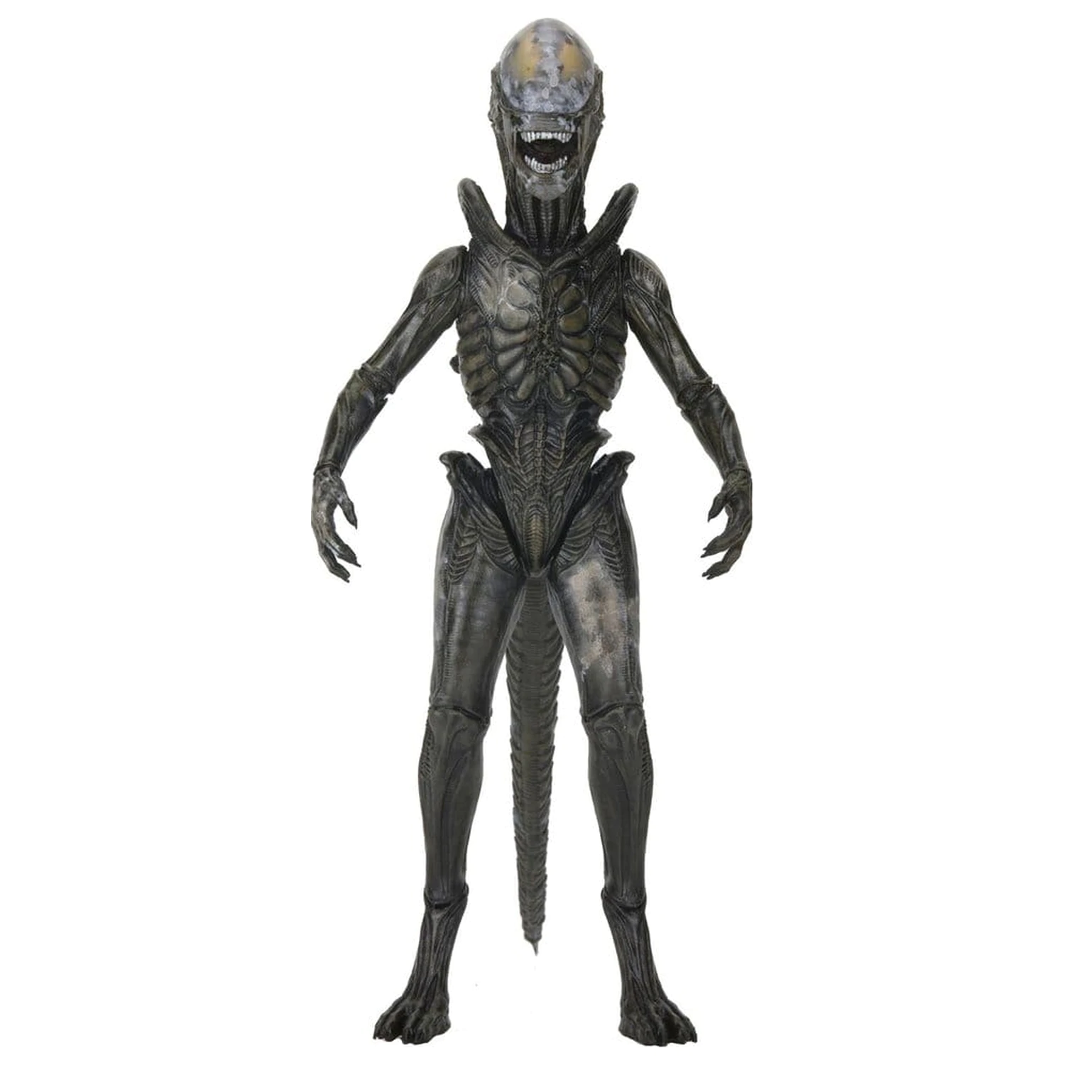 Alien: Earth Ultimate Wendy's Xenomorph akciófigura 18 cm termékfotó