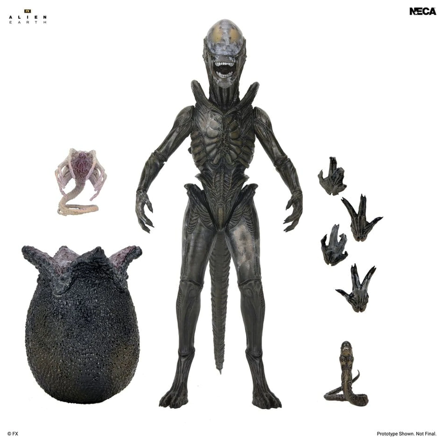 Alien: Earth Ultimate Wendy's Xenomorph akciófigura 18 cm termékfotó