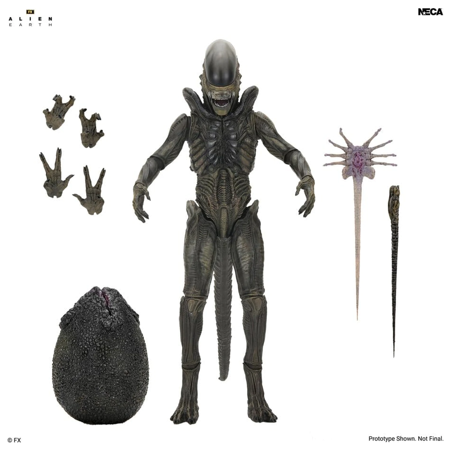 Alien: Earth Ultimate Xenomorph akciófigura 18 cm termékfotó