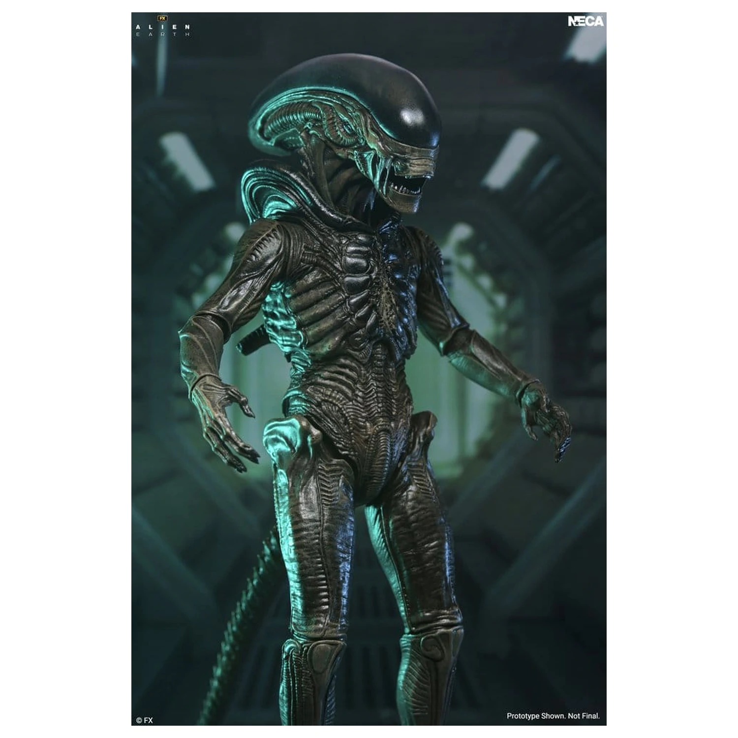 Alien: Earth Ultimate Xenomorph akciófigura 18 cm termékfotó