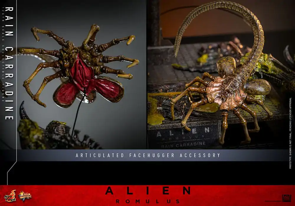 Alien: Romulus Movie Masterpiece 1/6 Rain Carradine akciófigura 26 cm termékfotó