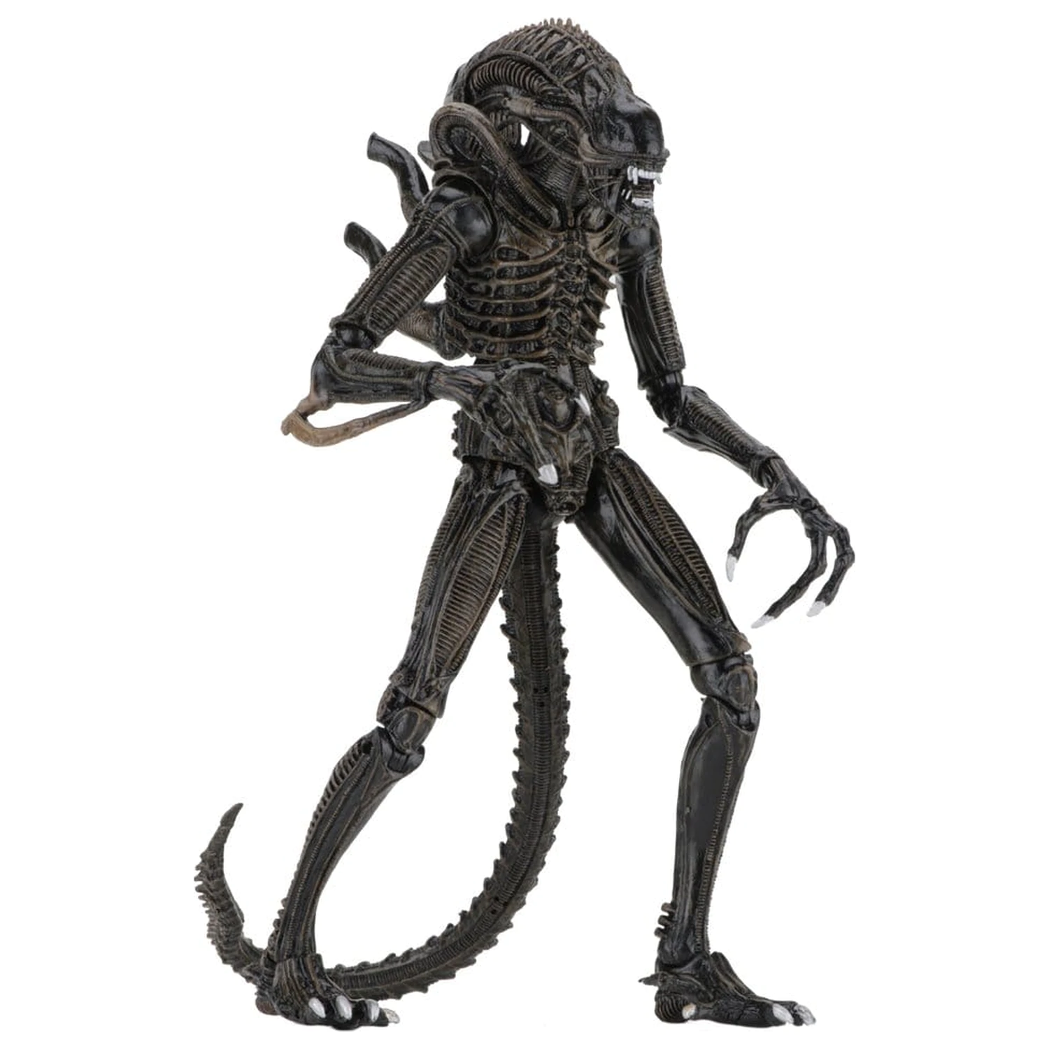 Aliens Ultimate Warrior (1986) Brown akciófigura 23 cm termékfotó