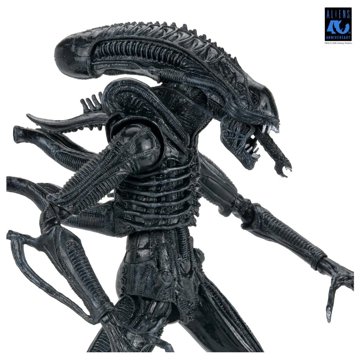 Aliens Ultimate Warrior (1986) Xenomorph Black (40th Anniversary) akciófigura 23 cm termékfotó