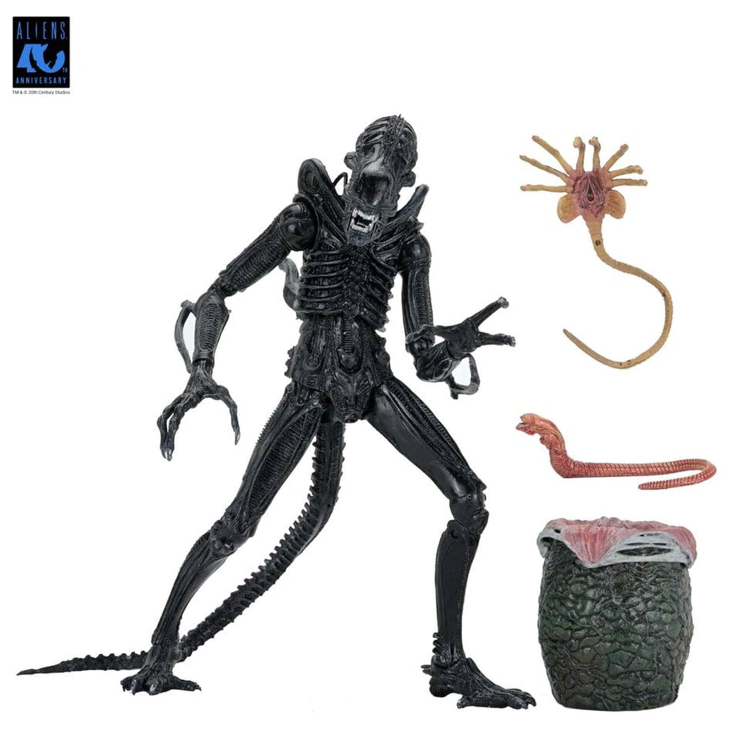 Aliens Ultimate Warrior (1986) Xenomorph Black (40th Anniversary) akciófigura 23 cm termékfotó