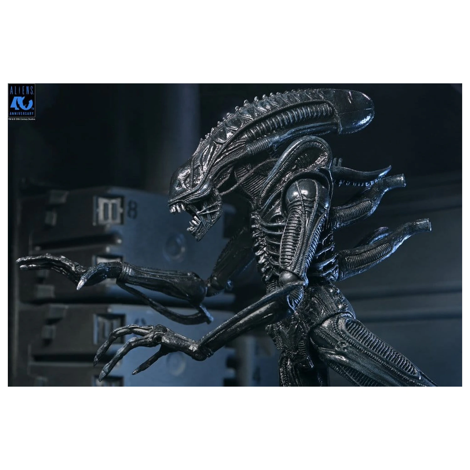 Aliens Ultimate Warrior (1986) Xenomorph Black (40th Anniversary) akciófigura 23 cm termékfotó