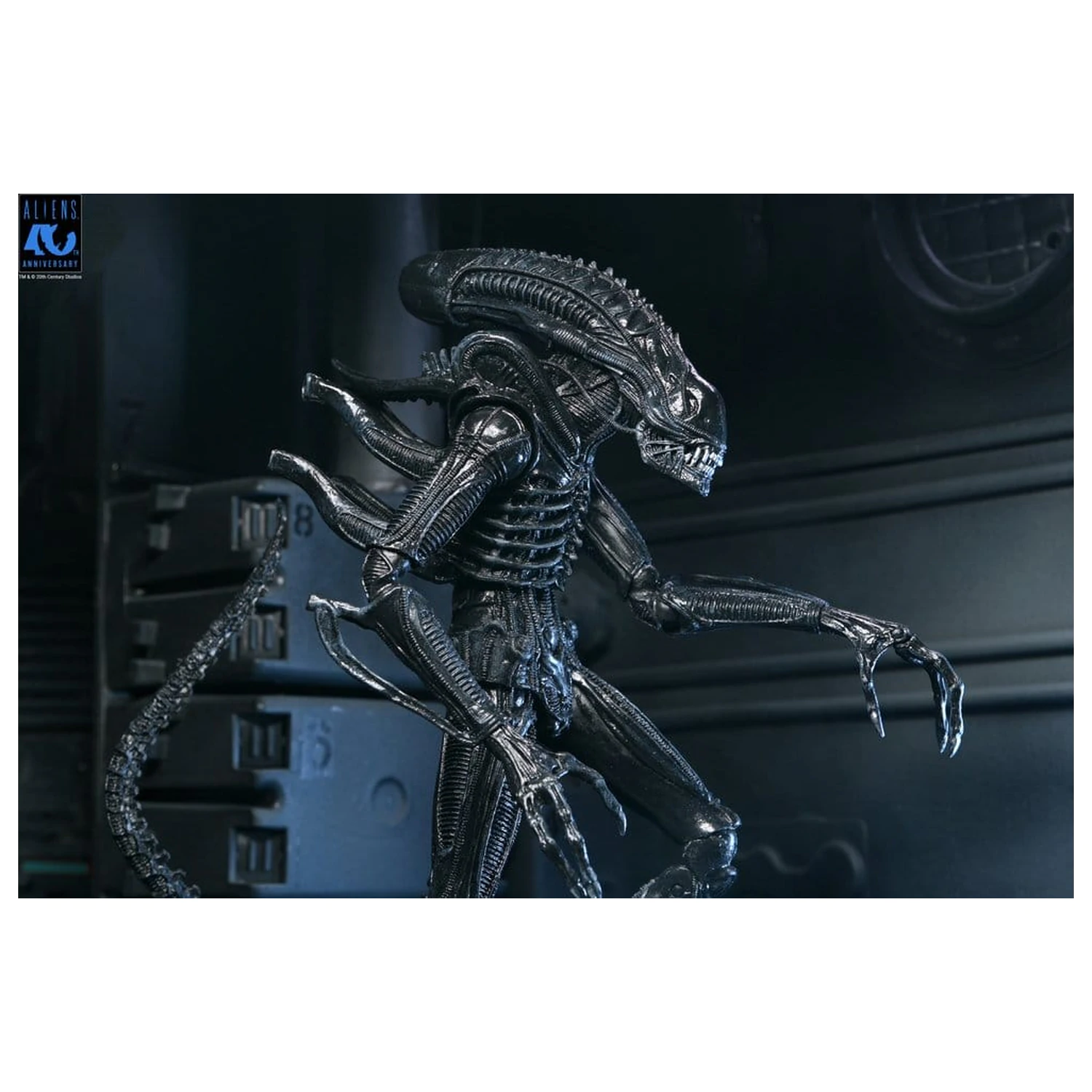 Aliens Ultimate Warrior (1986) Xenomorph Black (40th Anniversary) akciófigura 23 cm termékfotó