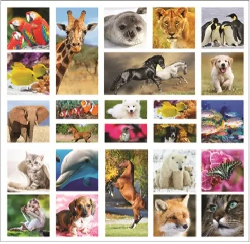 Állatos 3D matrica szett termékfotó