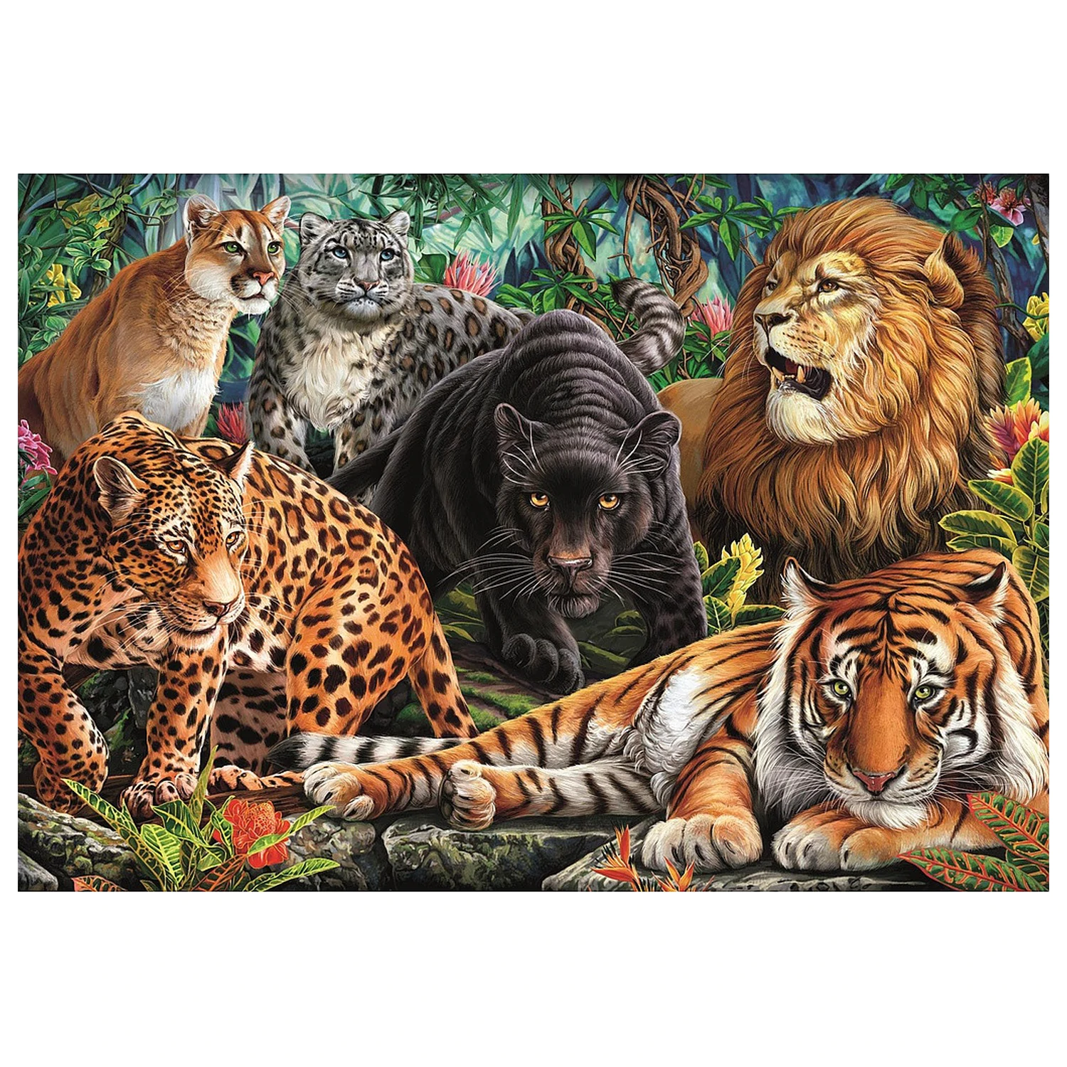 Állatos Wild Cats 500 db-os puzzle  termékfotó