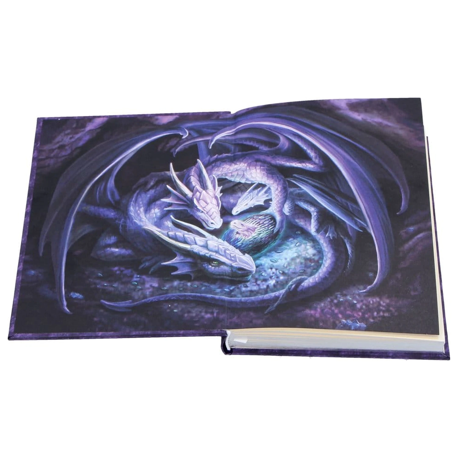 Anne Stokes  Welcome Hatchling A5 jegyzetfüzet termékfotó