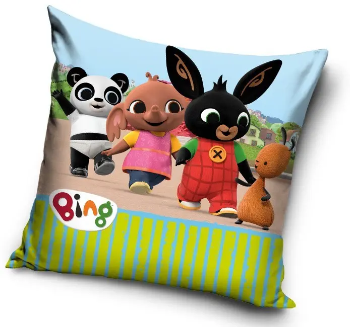 Bing párna, díszpárna 40*40 cm termékfotó