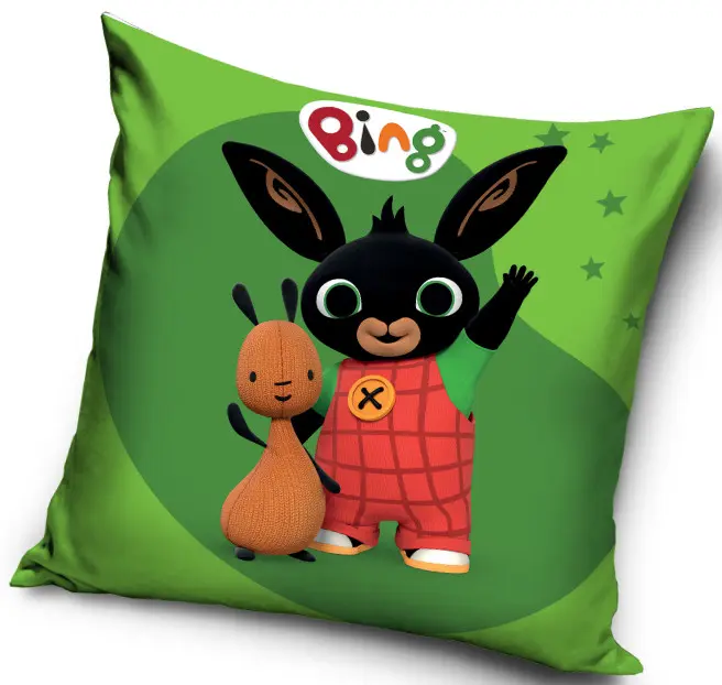 Bing párnahuzat 40*40 cm termékfotó