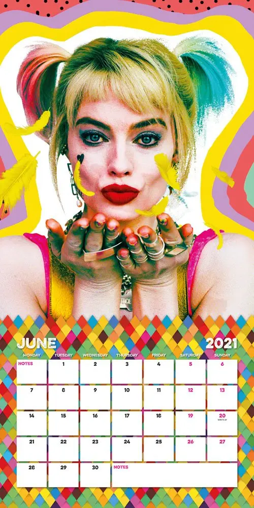 Birds Of Prey 2021-es felakasztható naptár termékfotó