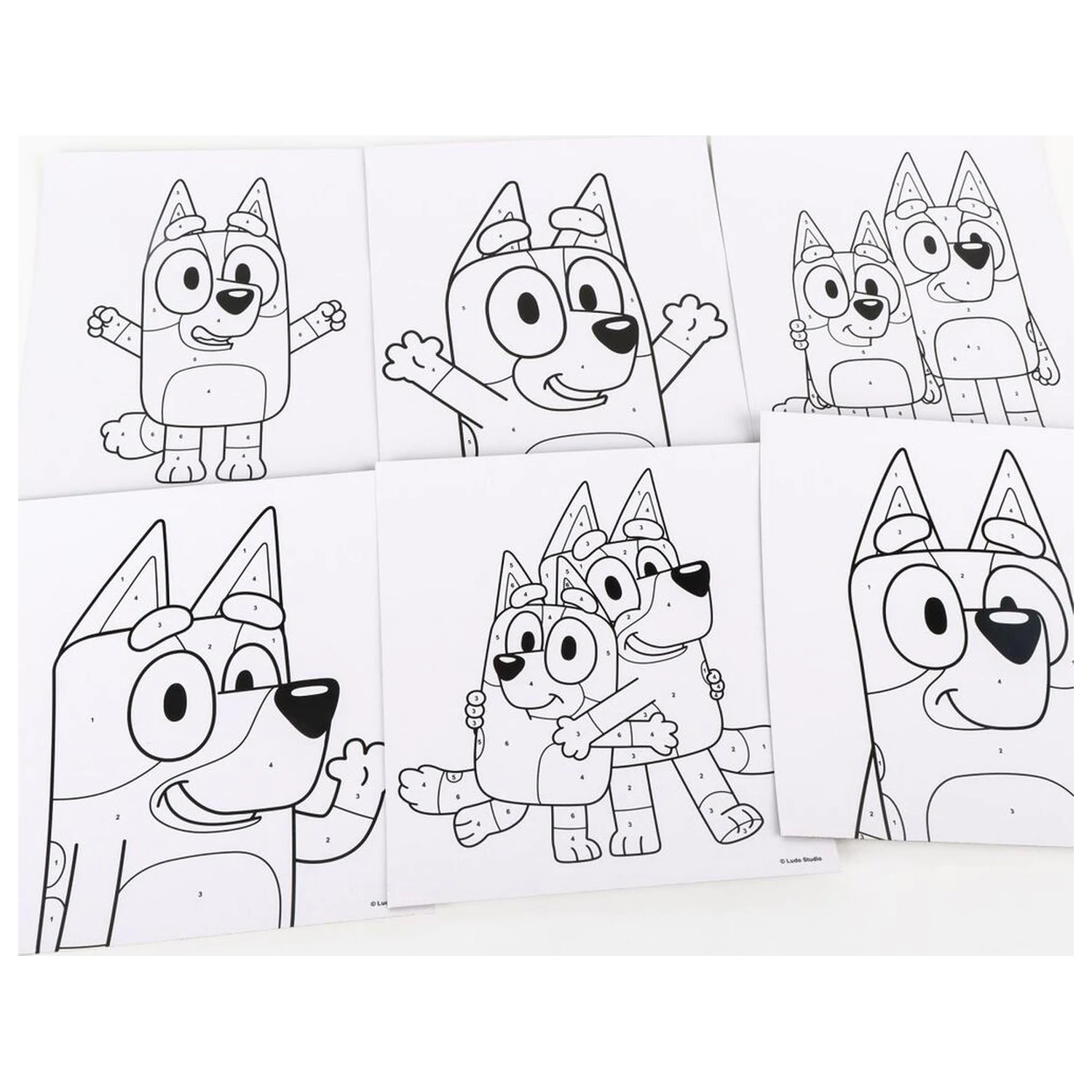 Bluey festő csomag termékfotó