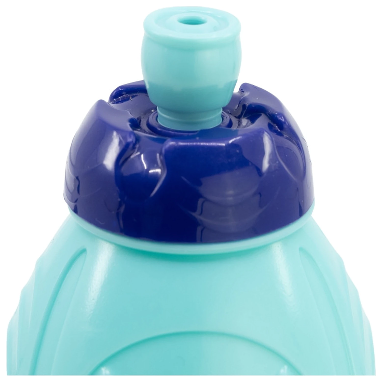Bluey Leaves műanyag sportkulacs 400 ml termékfotó