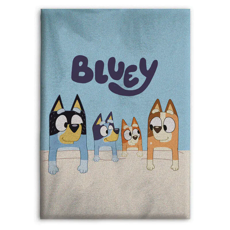 Bluey polar blanket termékfotó