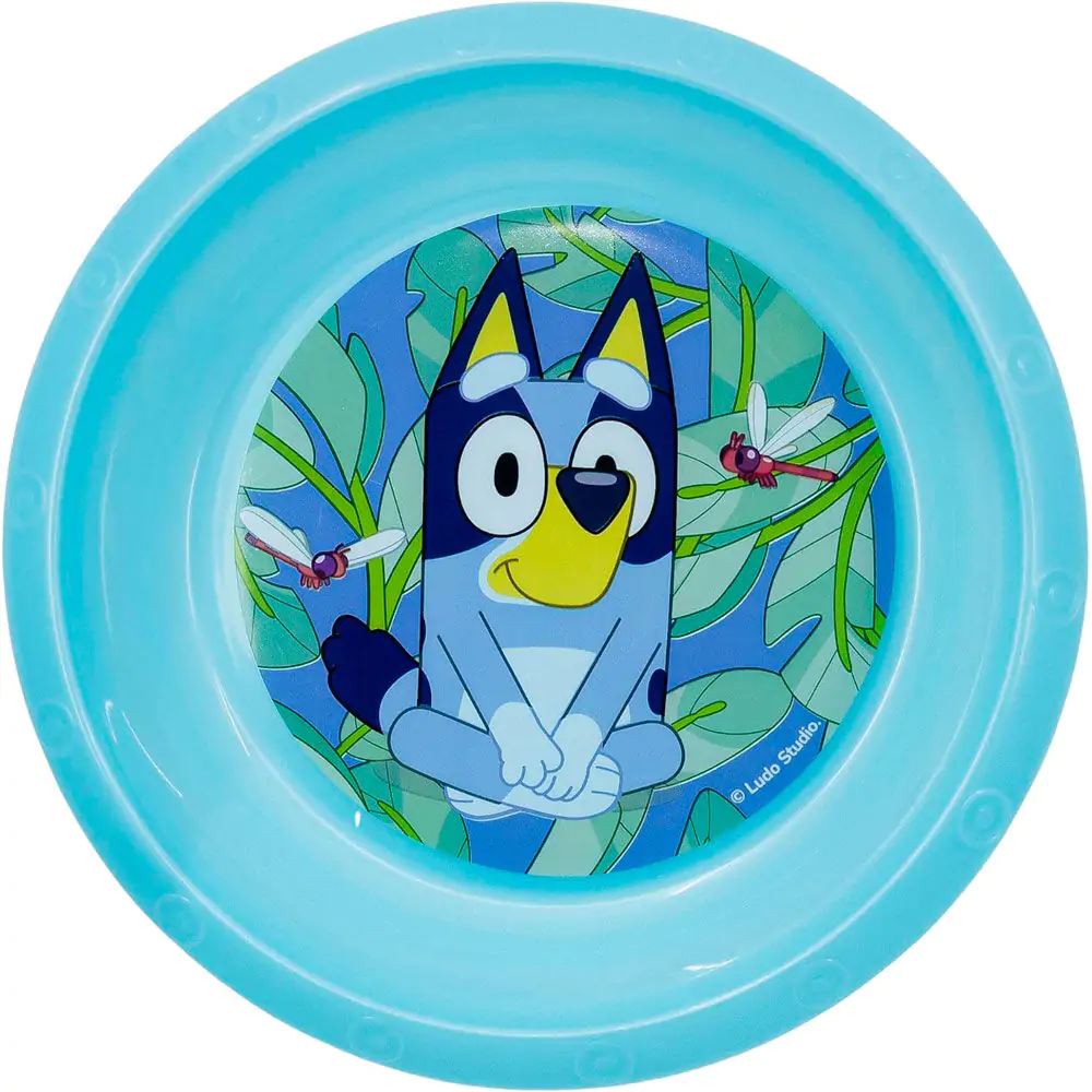 Bluey tál termékfotó