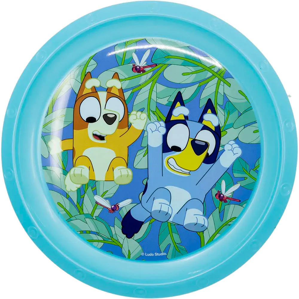 Bluey tányér termékfotó