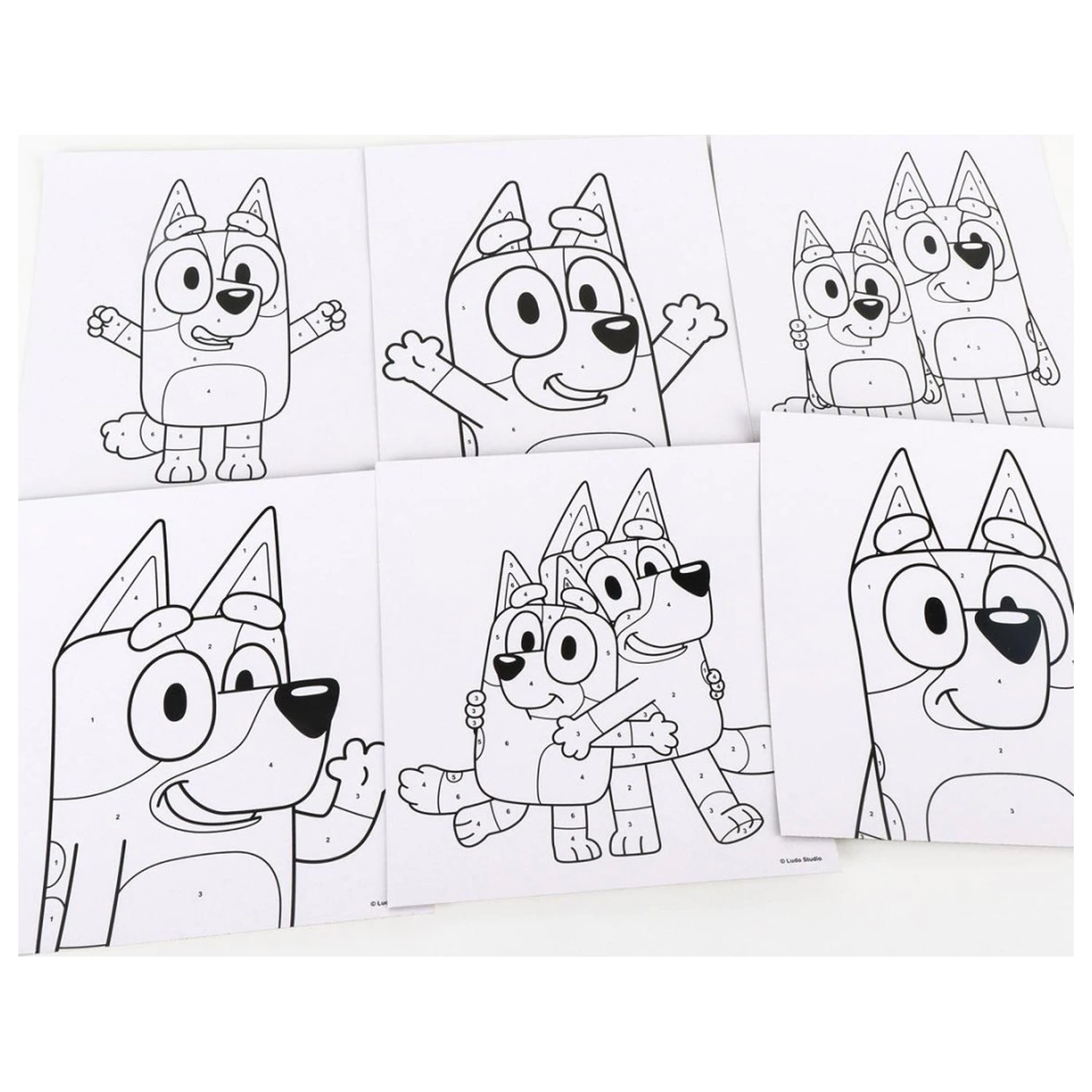 Bluey To Wave számos kifestő szett termékfotó