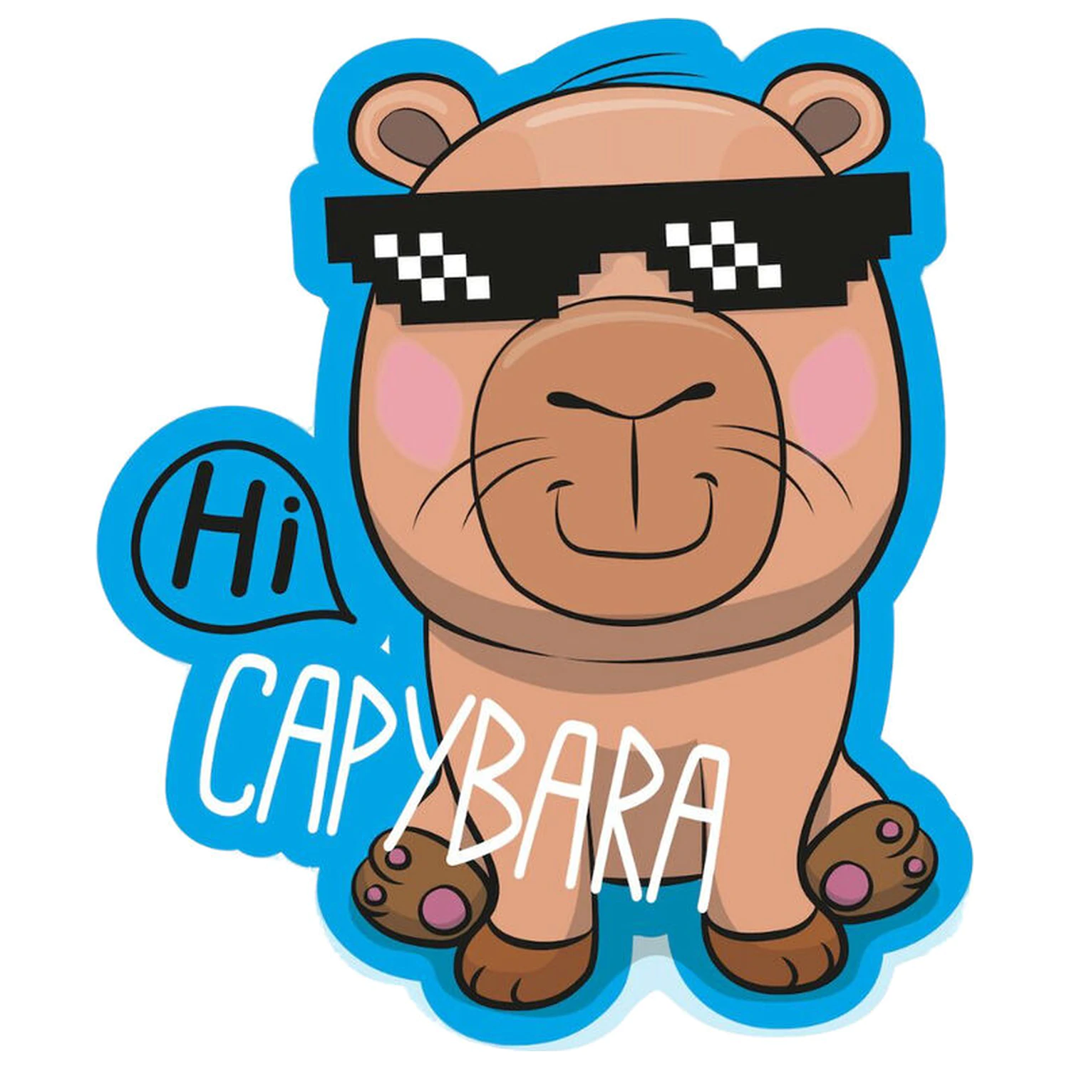 Capybara 3D párna termékfotó