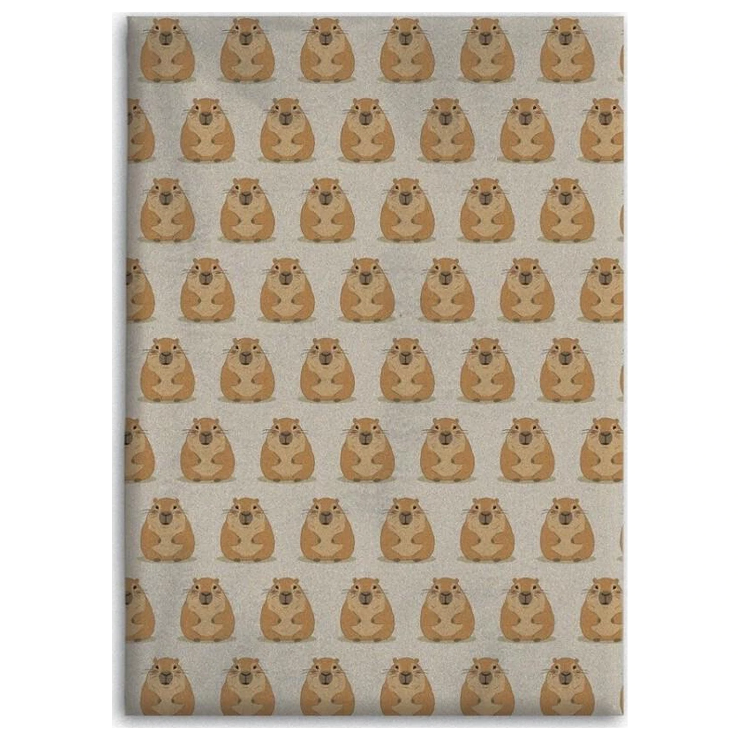 CAPYBARA Flannel takaró 110x150cm termékfotó