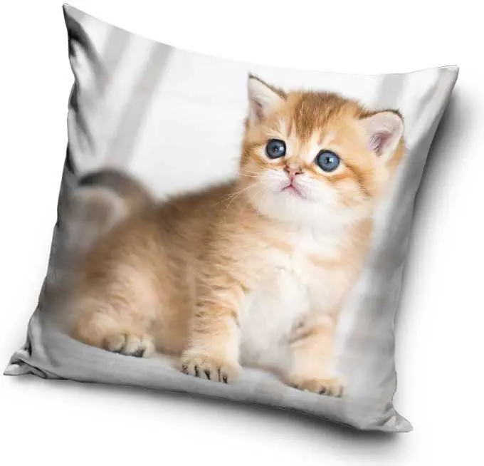 Cicás párnahuzat 40*40 cm termékfotó