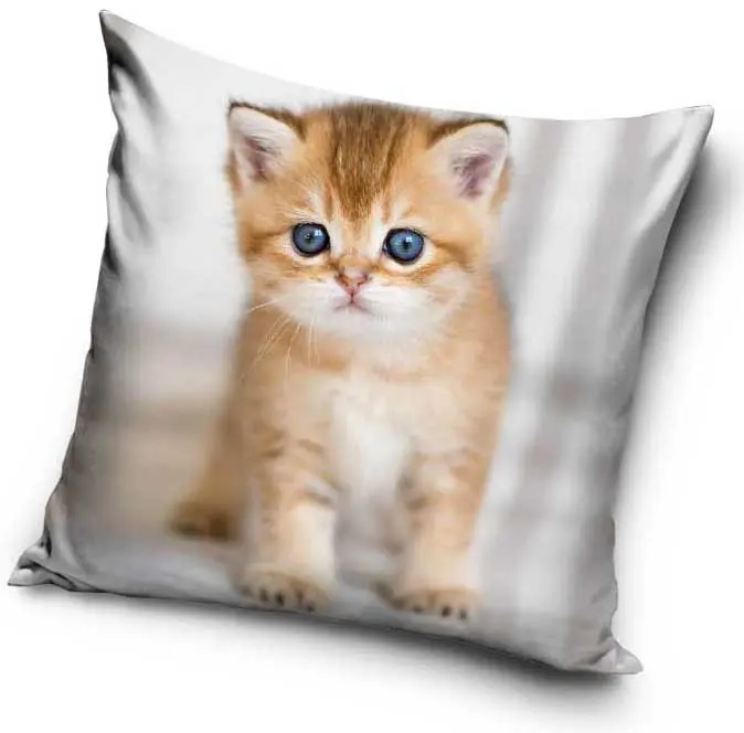 Cicás párnahuzat 40*40 cm termékfotó