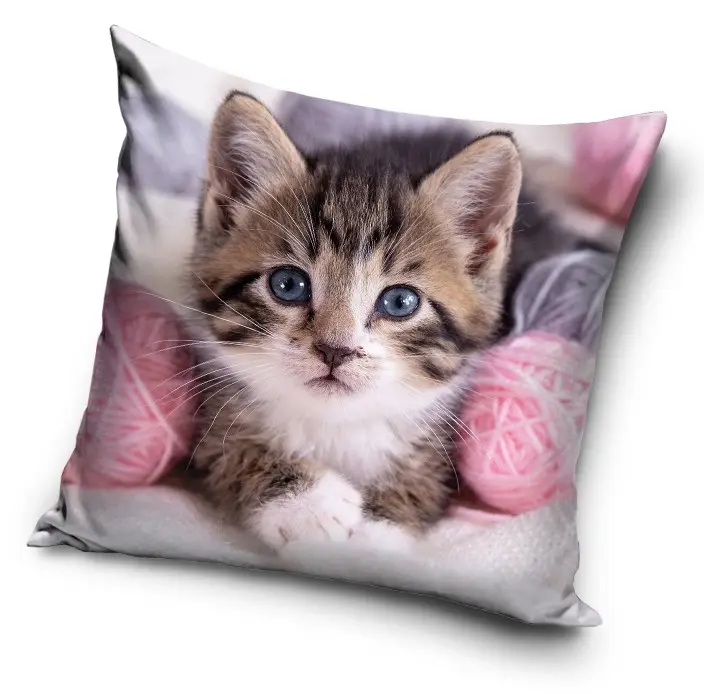 Cicás párnahuzat 40*40 cm termékfotó