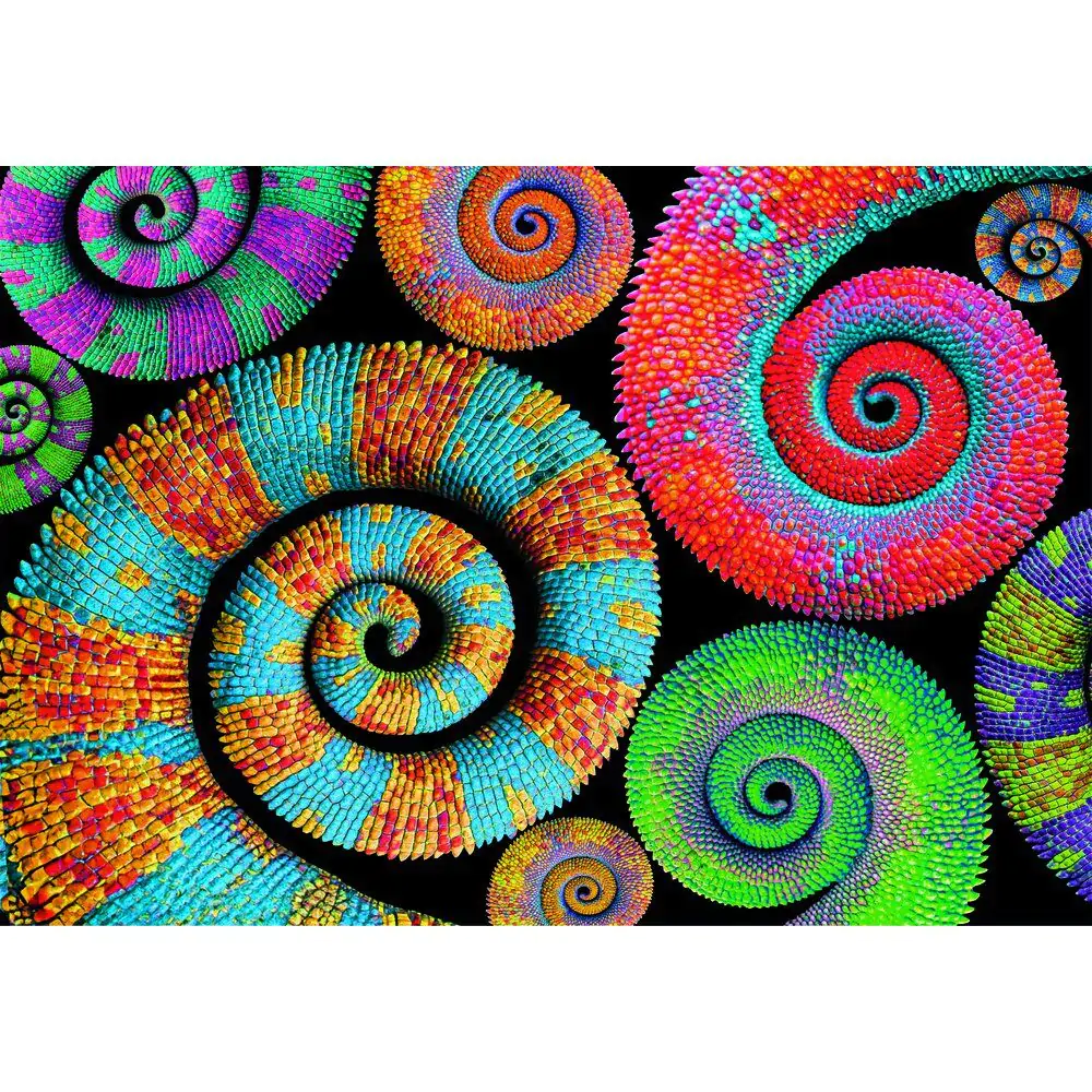 Color Boom Curly Tails puzzle 500db-os termékfotó