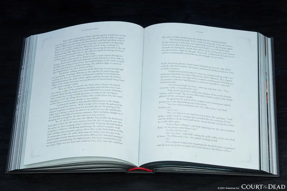 Court of the Dead Book Rise of the Reaper General termékfotó