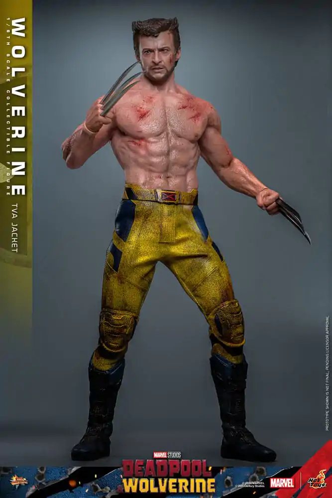 Deadpool & Wolverine Movie Masterpiece 1/6 Wolverine (TVA Jacket Version) akciófigura 31 cm termékfotó