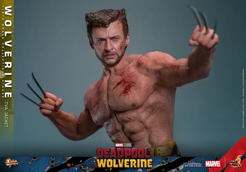 Deadpool & Wolverine Movie Masterpiece 1/6 Wolverine (TVA Jacket Version) akciófigura 31 cm termékfotó