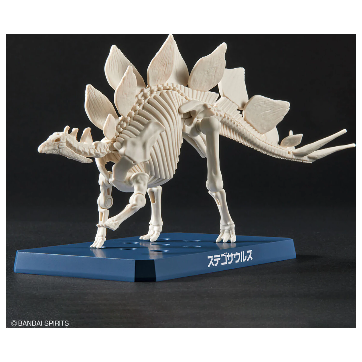 Dinosaur New Dinosaur műanyag Stegosaurus (Tentative) modell készlet termékfotó