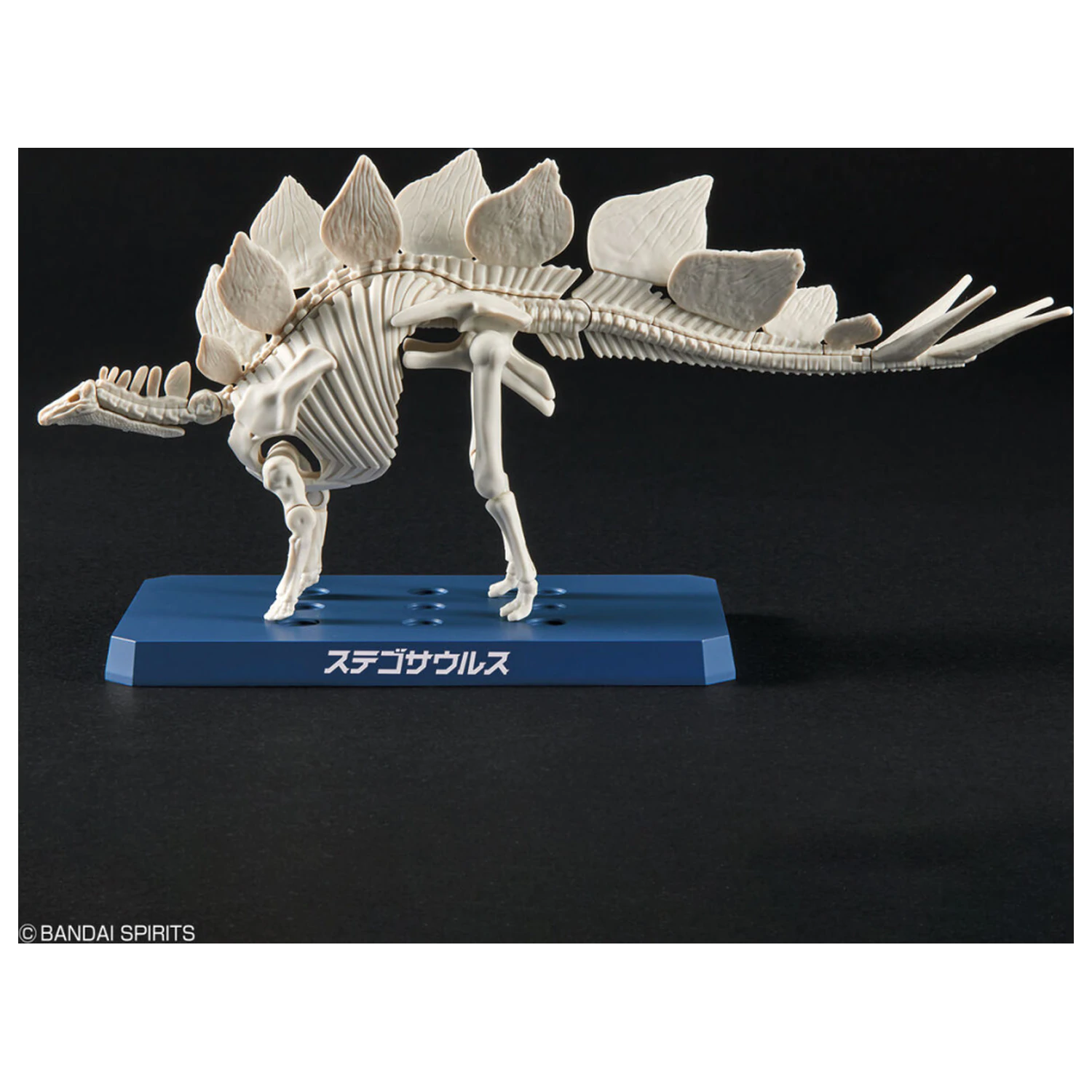 Dinosaur New Dinosaur műanyag Stegosaurus (Tentative) modell készlet termékfotó