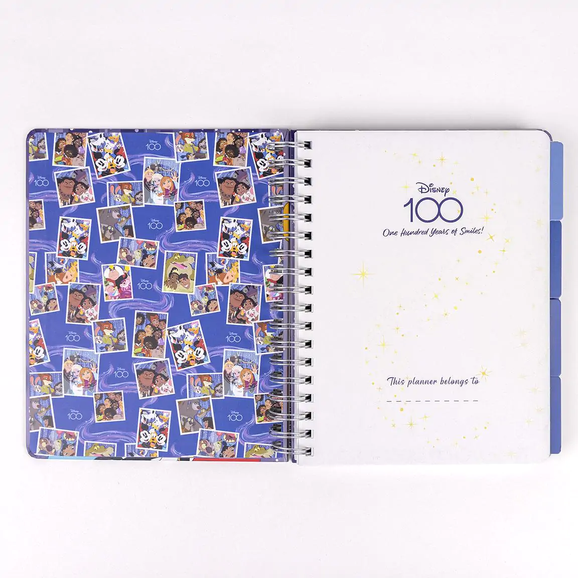 Disney 100Th Anniversary heti tervező naptár termékfotó