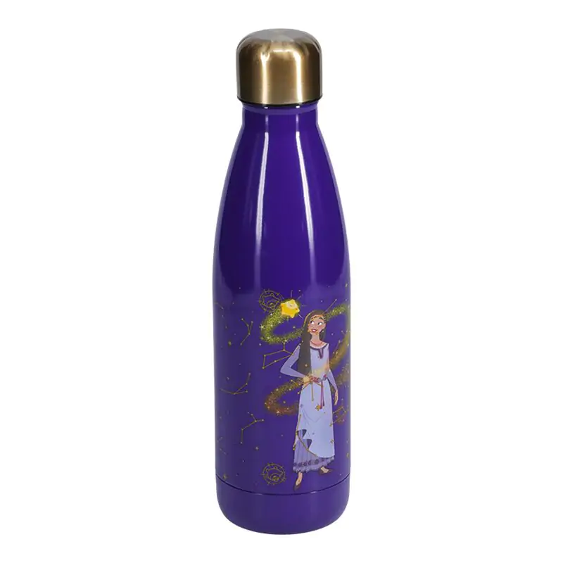 Disney Wish Asha stainless steel bottle 460ml termékfotó