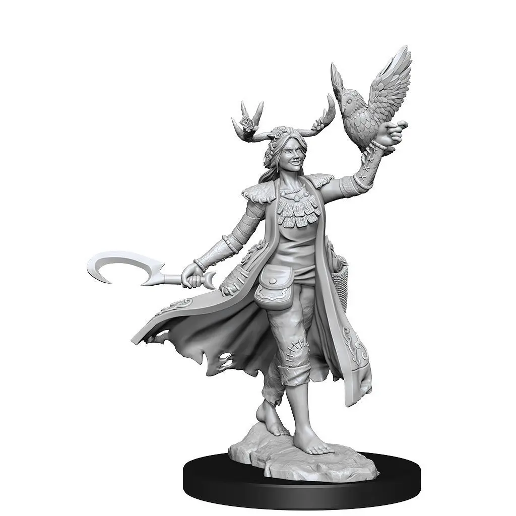 Dungeons &amp; Dragons Frameworks Miniature modell készlet Human Druid Female termékfotó