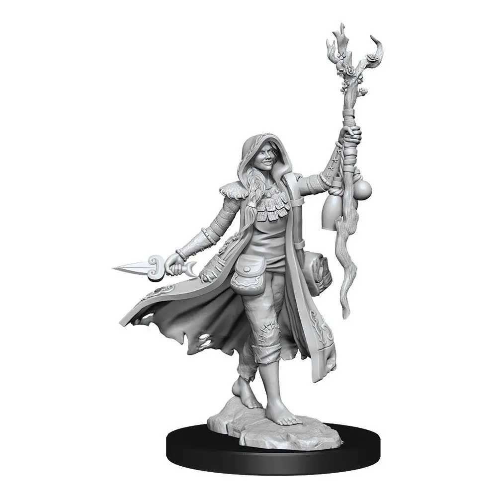 Dungeons &amp; Dragons Frameworks Miniature modell készlet Human Druid Female termékfotó