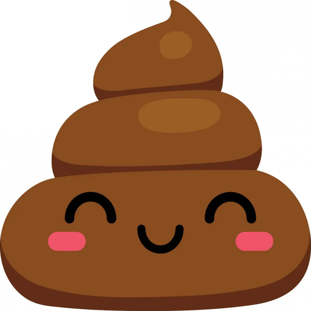 Emoji formapárna, díszpárna 37*40 cm termékfotó