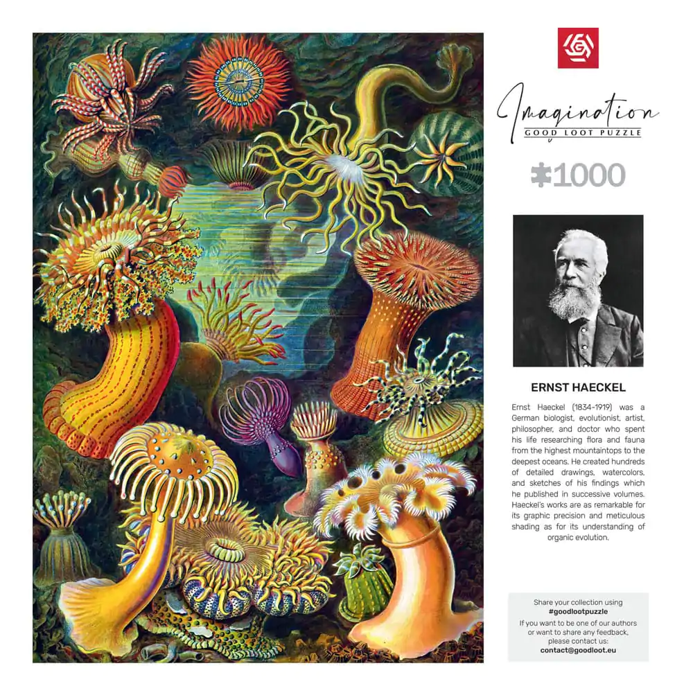 Ernst Haeckel Imagination Sea Anemones/Stworzenia morskie puzzle (1000 darab) termékfotó