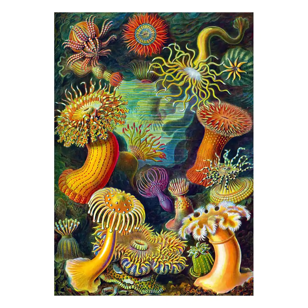 Ernst Haeckel Imagination Sea Anemones/Stworzenia morskie puzzle (1000 darab) termékfotó