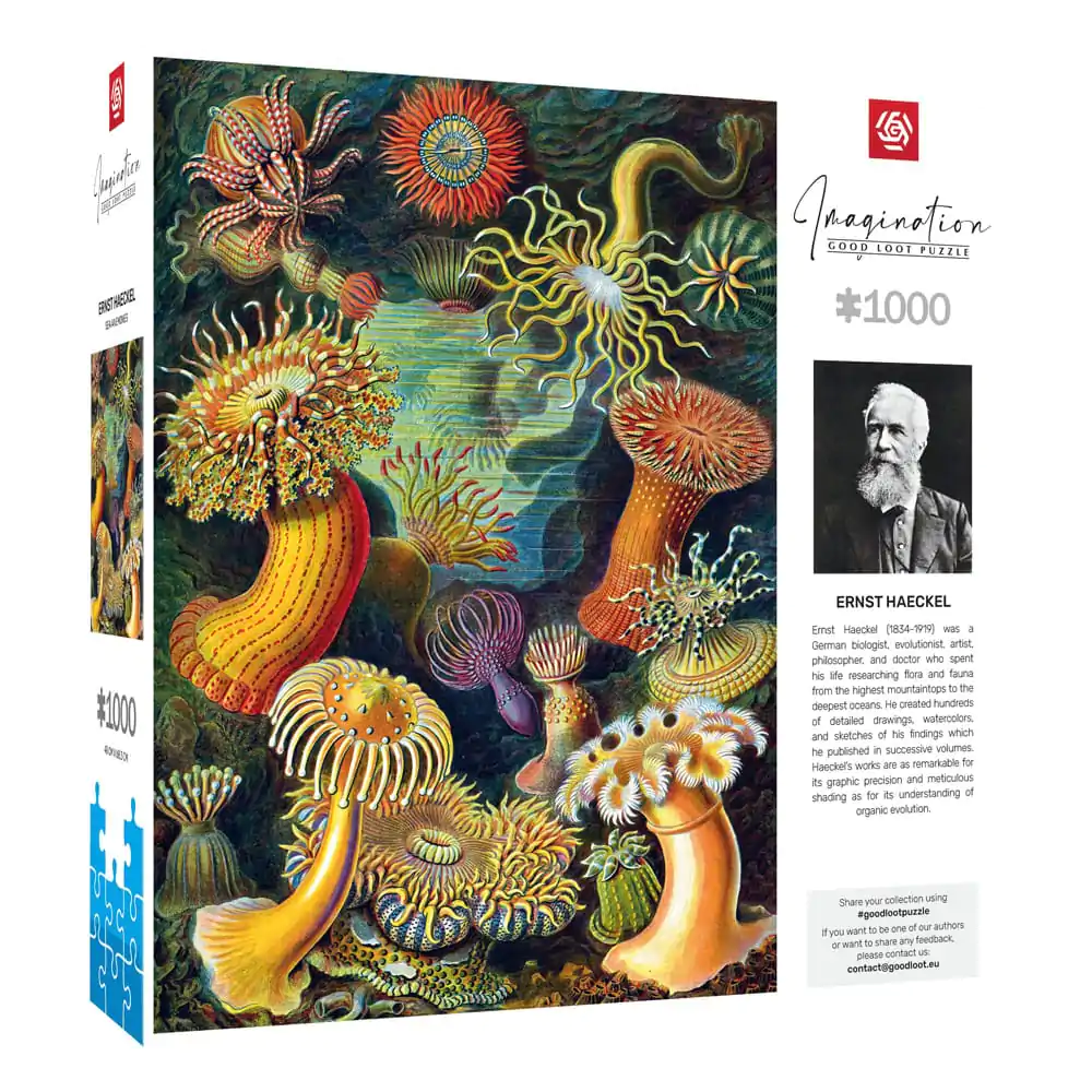 Ernst Haeckel Imagination Sea Anemones/Stworzenia morskie puzzle (1000 darab) termékfotó