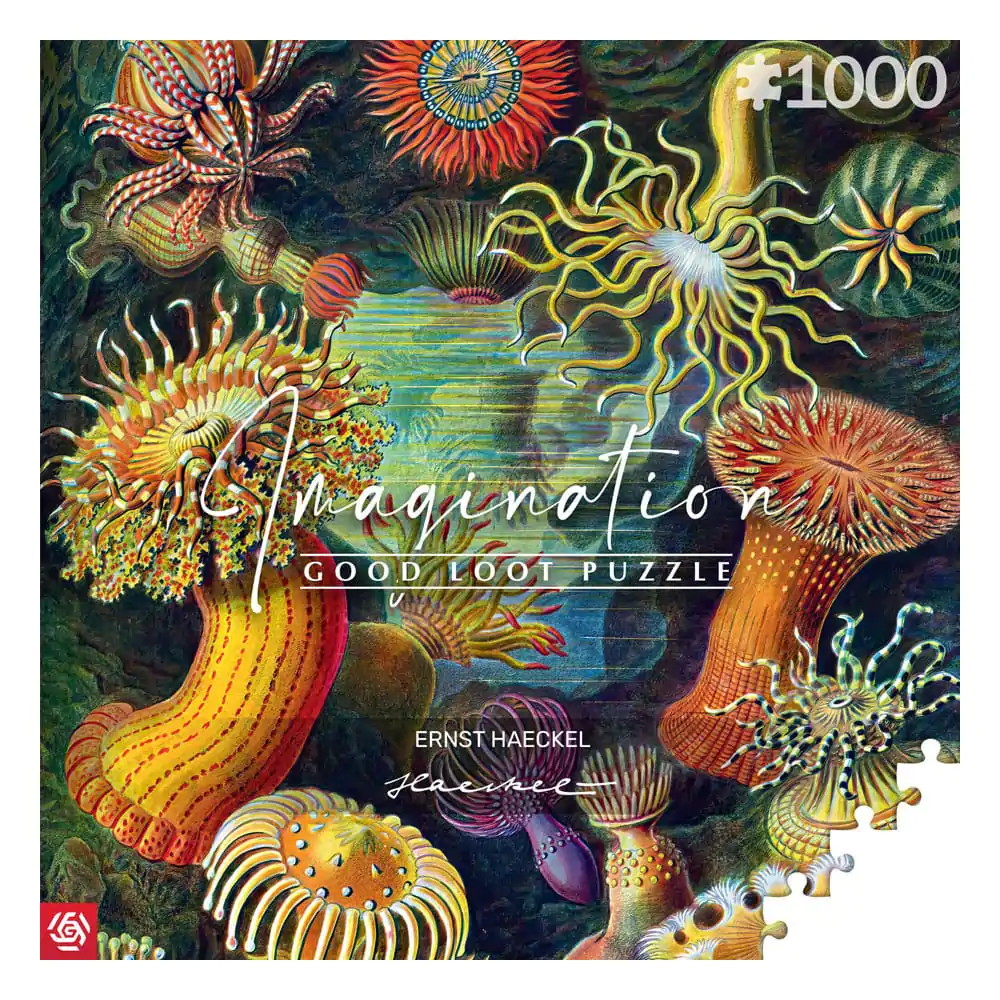 Ernst Haeckel Imagination Sea Anemones/Stworzenia morskie puzzle (1000 darab) termékfotó