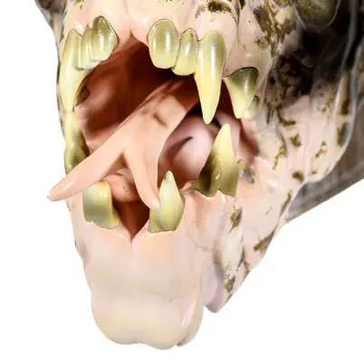 Fallout Deathclaw 3D fali dekoráció termékfotó