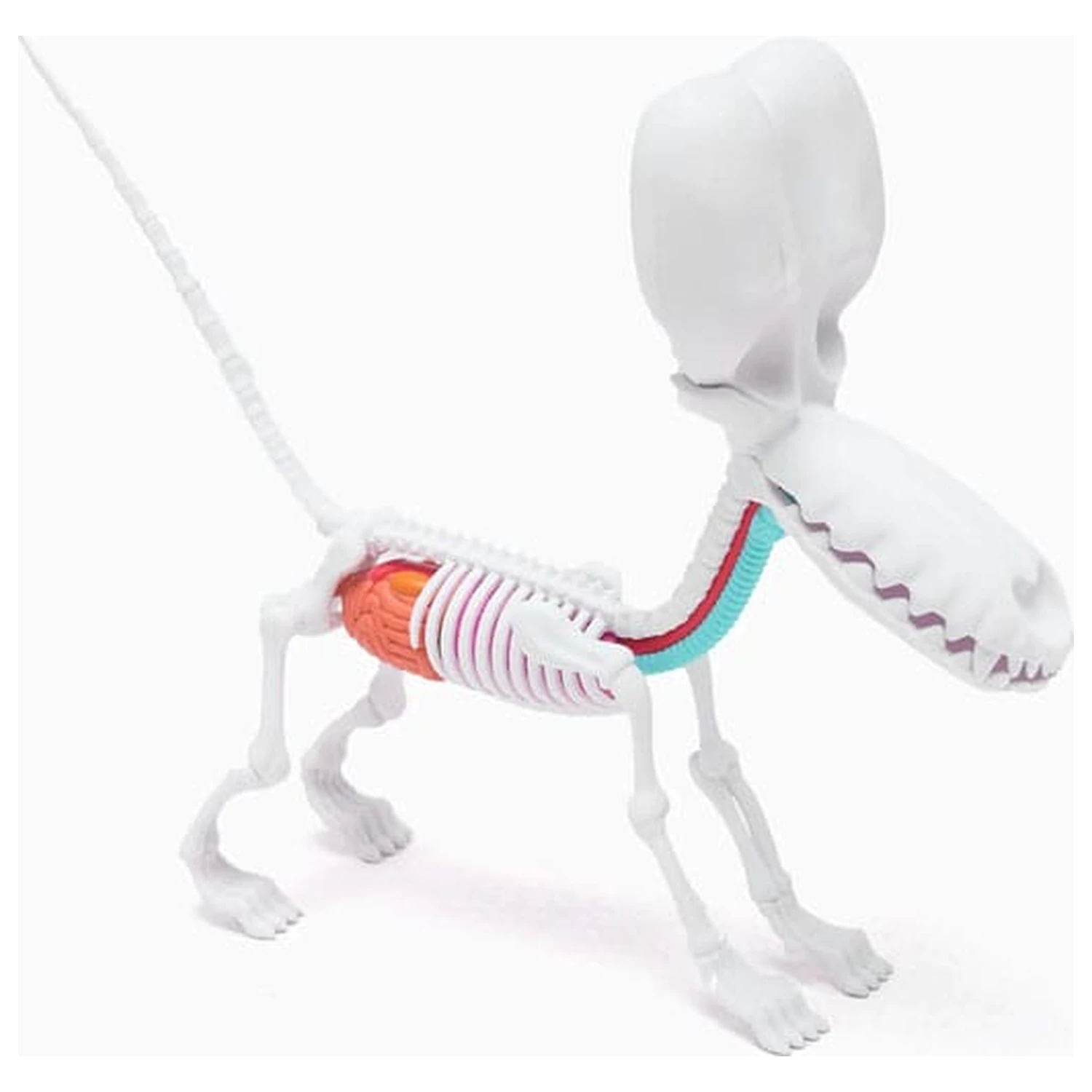 Funny Anatomy Honey Edition Balloon Dog szobor figura termékfotó